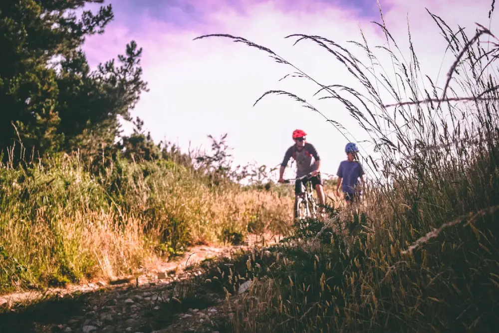 Denver Two-Wheel Accident & Injury Law
