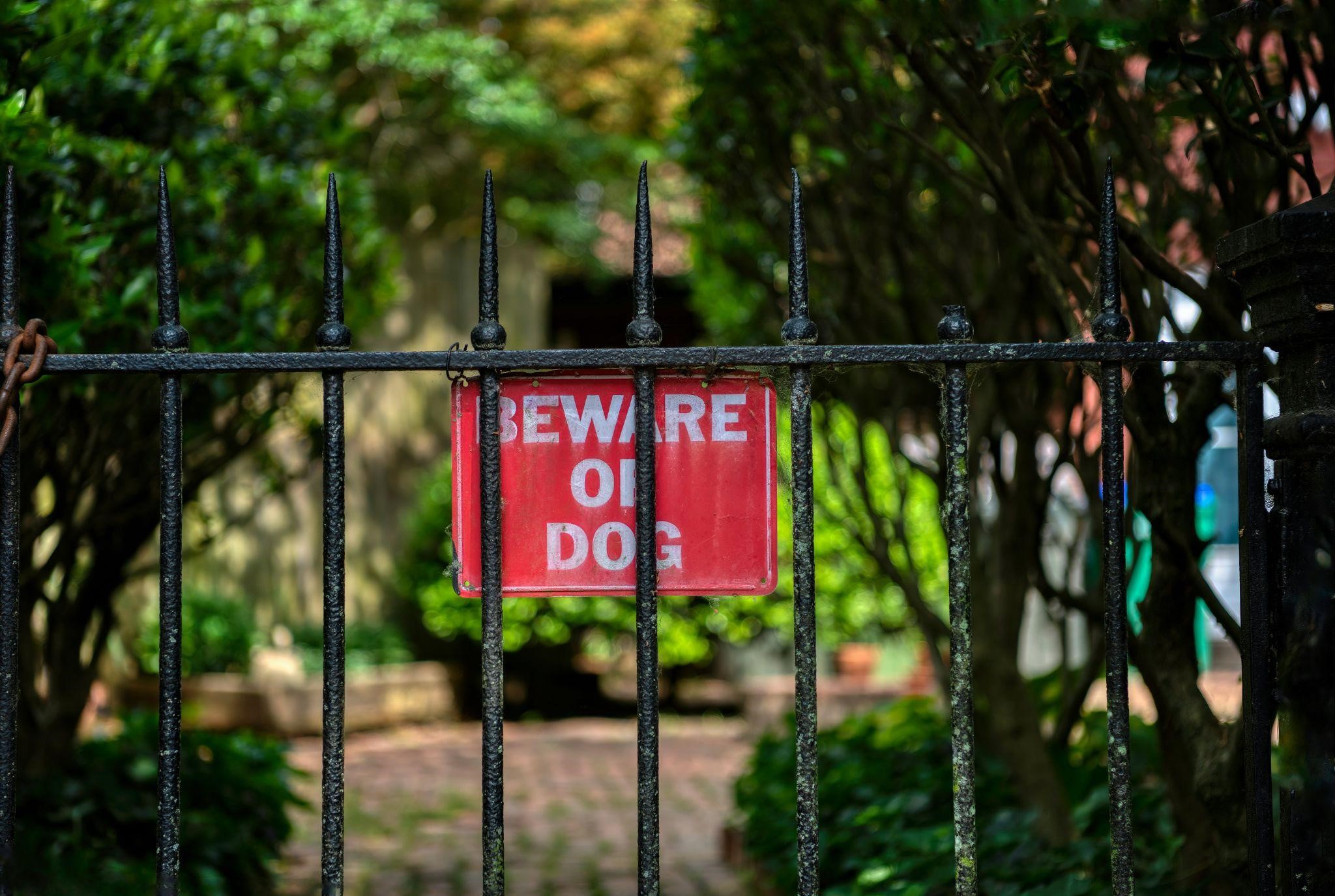 "Beware o Dog" signage on the fence