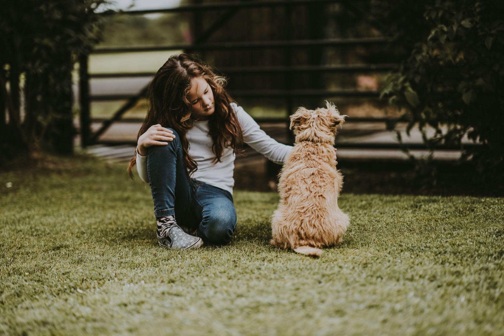 a girl petting a dog