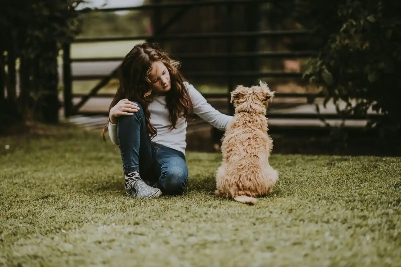 Why Do Dogs Attack Children?