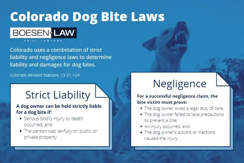 Denver Dog Bite Attorney
